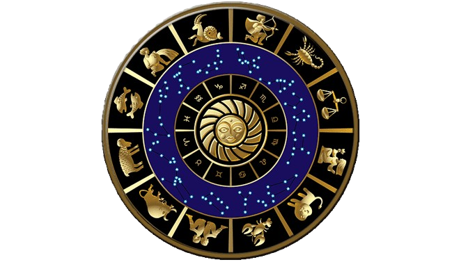 Astrologer Vastu Consultant